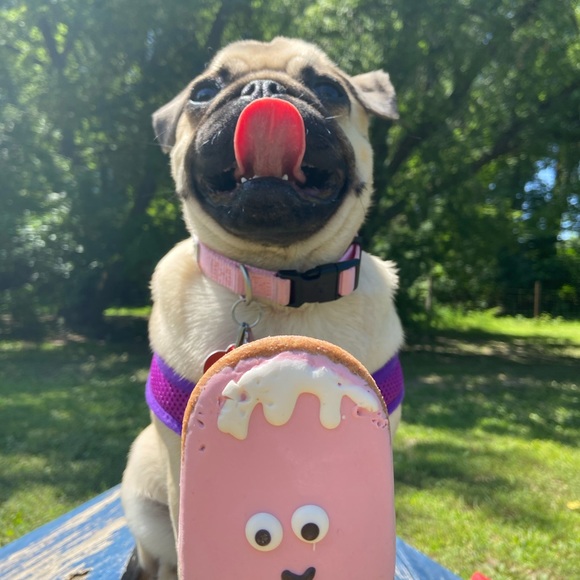 Meet your Posher, Katelyn - Picture 1 of 1